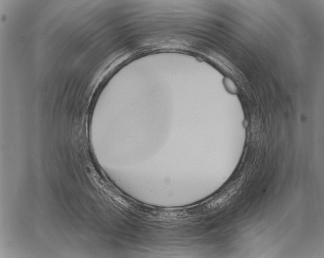 X0000060560790200512011640