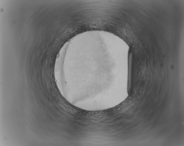 X0000060560817200512011639