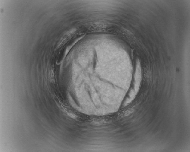 X0000060560818200512011639
