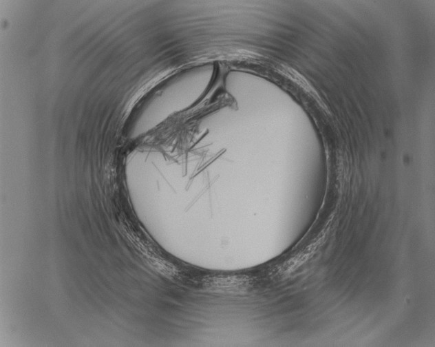 X0000060560826200512011639
