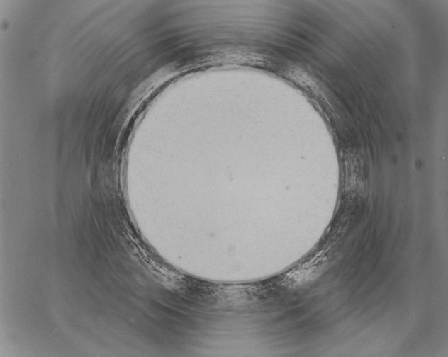 X0000060560828200512011639