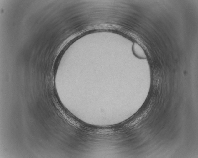 X0000060560837200512011639