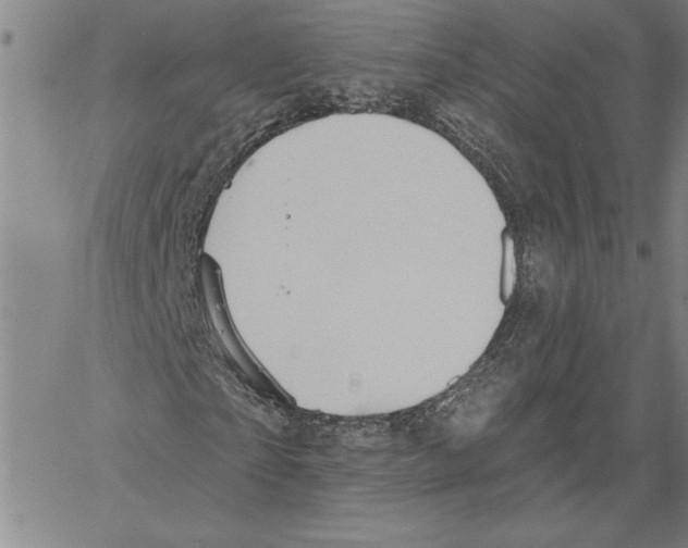X0000060560865200512011639