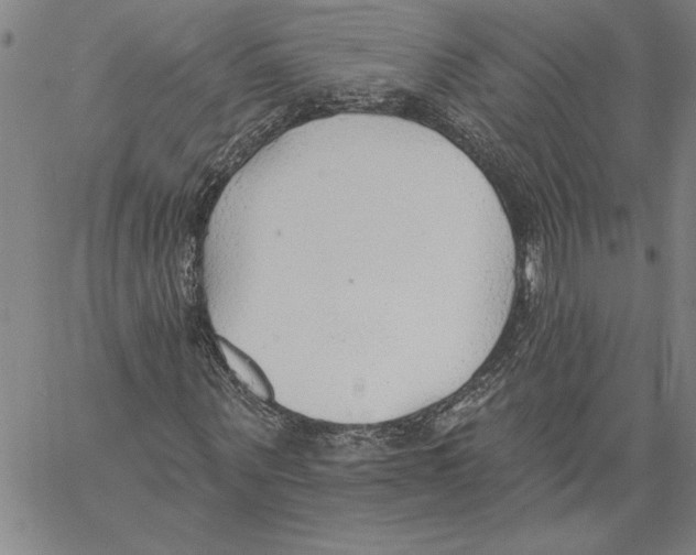 X0000060560867200512011639