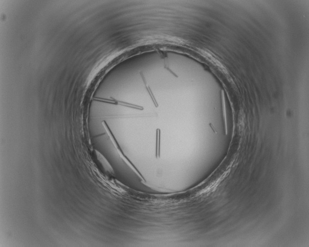 X0000060560877200512011639