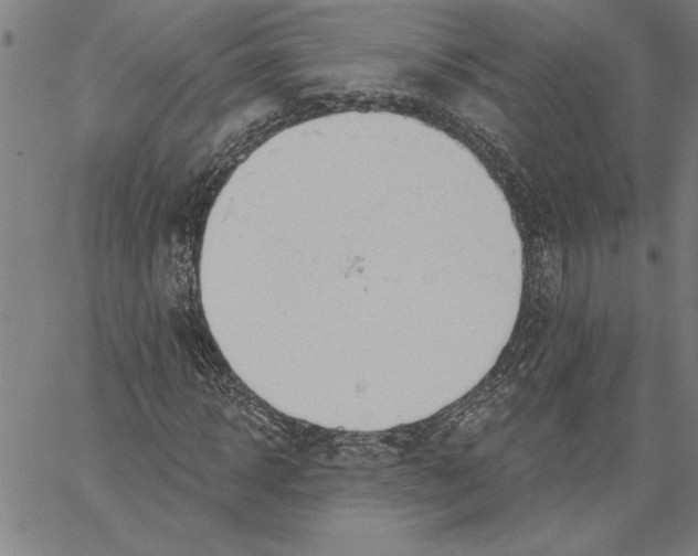 X0000060560918200512011638