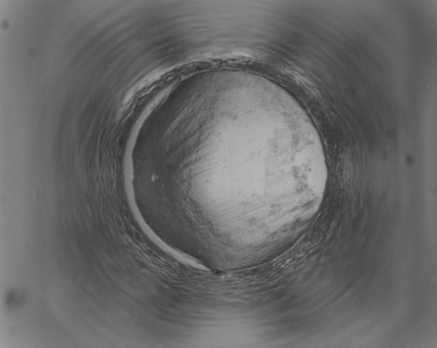 X0000060560920200512011638