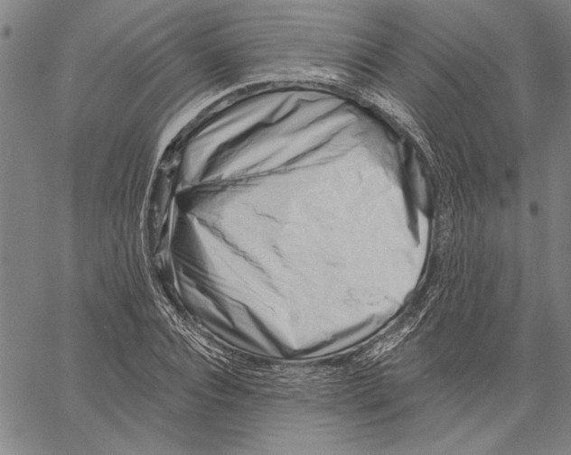 X0000060560928200512011638