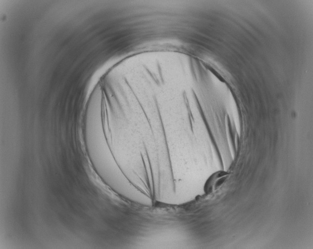X0000060560960200512011638