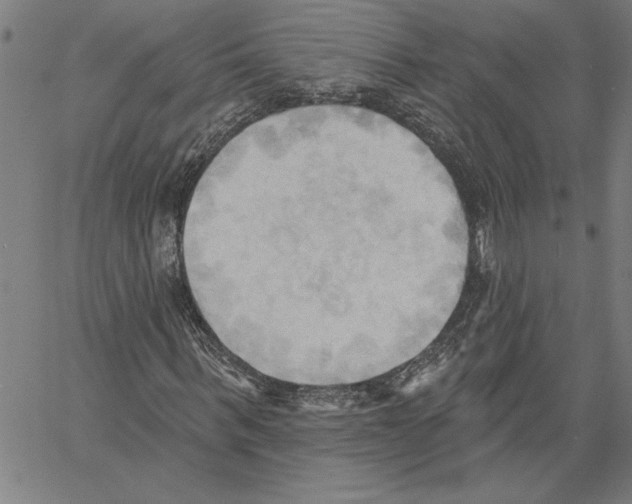 X0000060560963200512011638