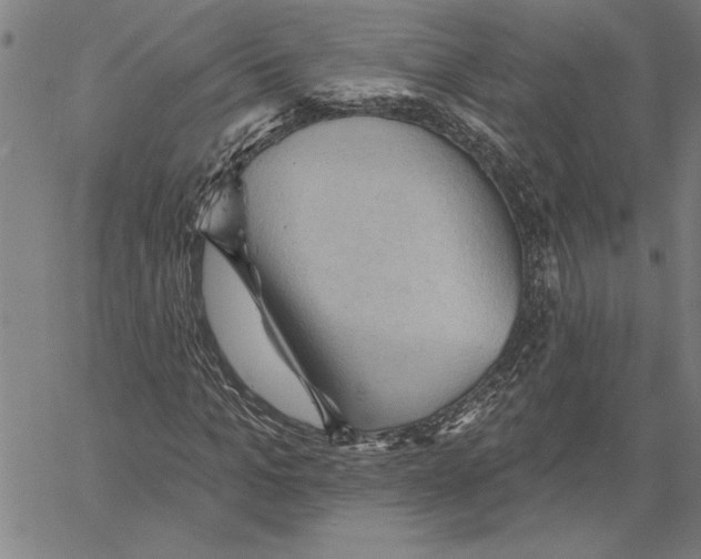X0000060560965200512011637
