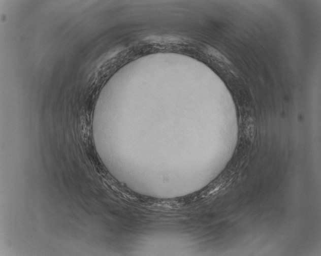 X0000060560966200512011637