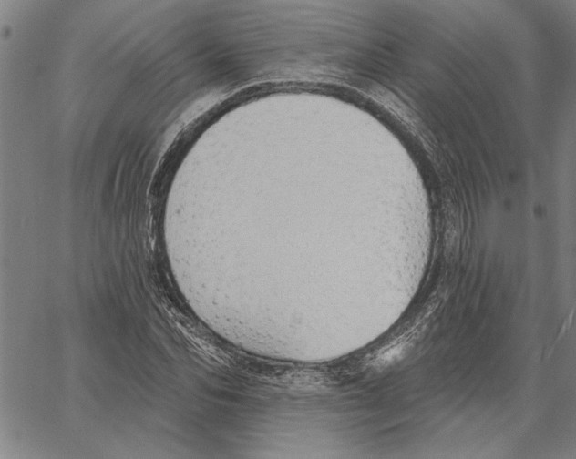 X0000060560974200512011637