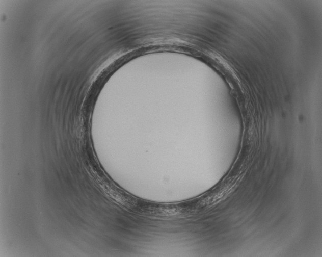 X0000060560975200512011637