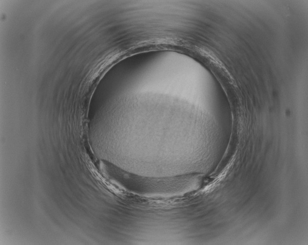 X0000060560977200512011637