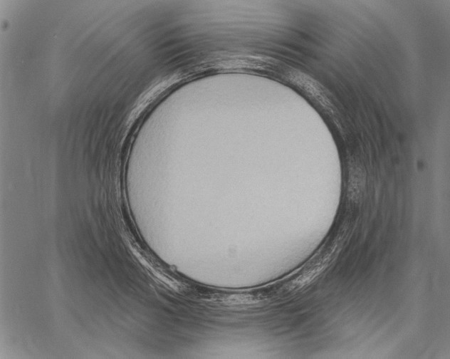 X0000060560986200512011637