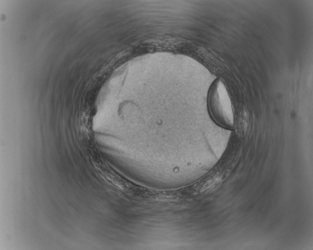 X0000060561010200512011636
