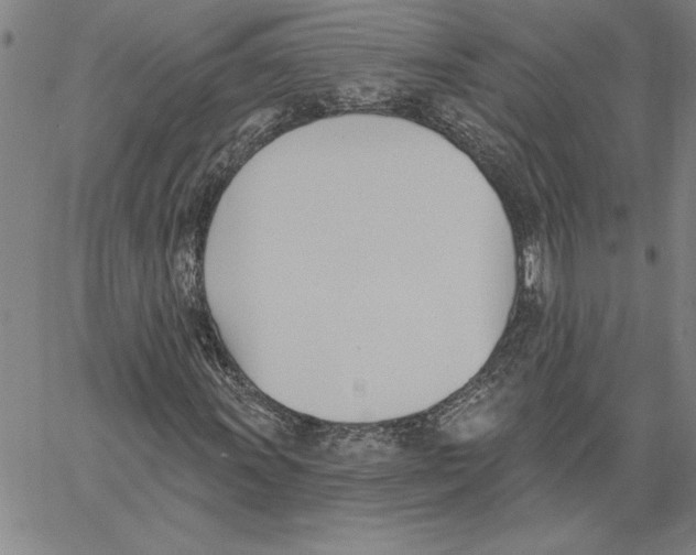 X0000060561011200512011636