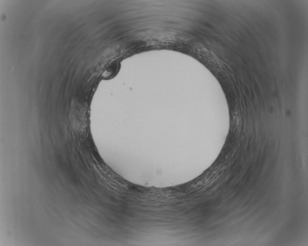 X0000060561012200512011636