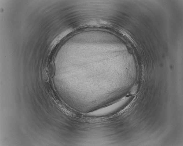 X0000060561018200512011636