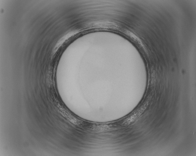 X0000060561019200512011636