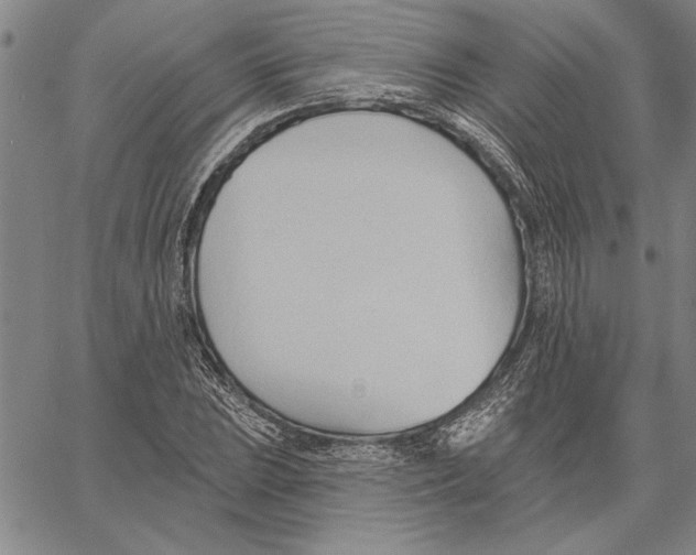 X0000060561023200512011636