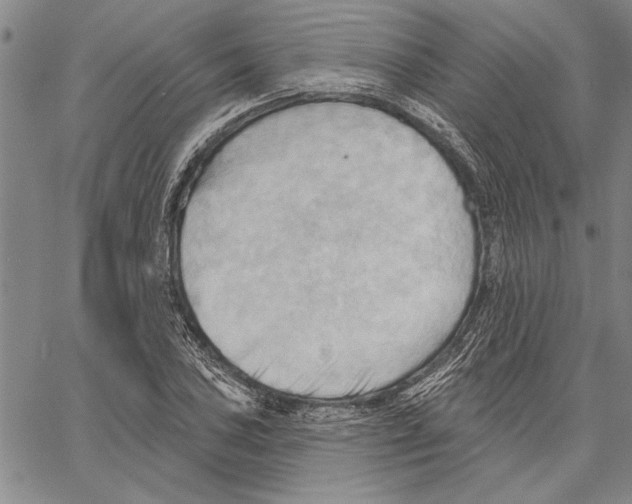 X0000060561027200512011636