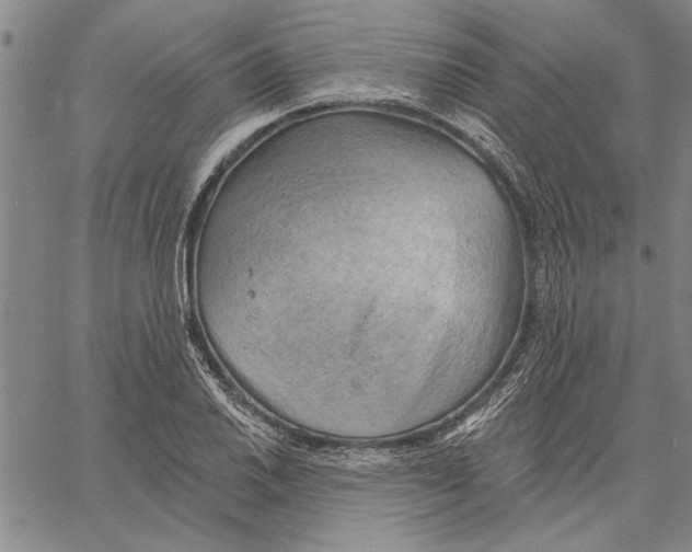 X0000060561030200512011636