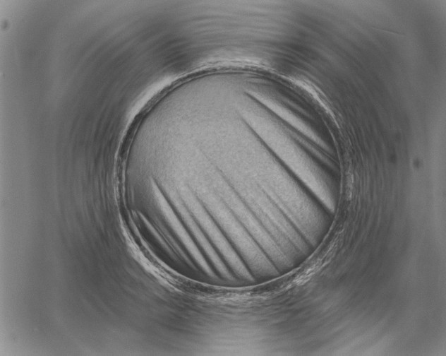 X0000060561038200512011636