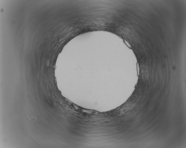 X0000060561057200512011636
