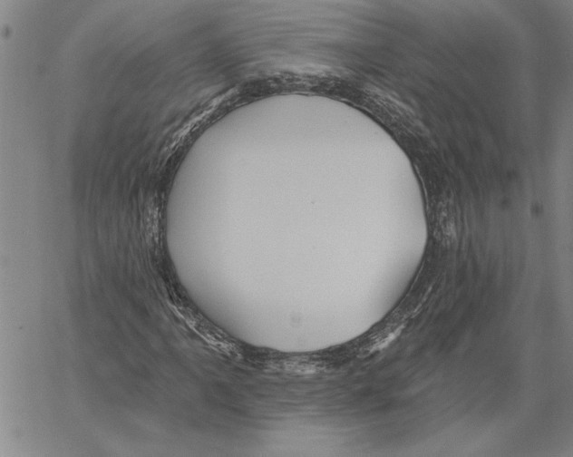 X0000060561061200512011636