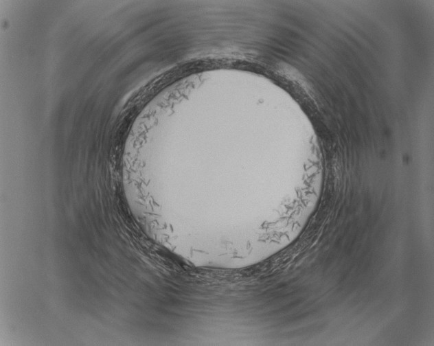 X0000060561064200512011636