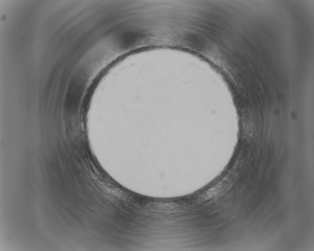 X0000060561070200512011636