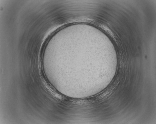 X0000060561072200512011636