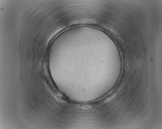 X0000060561073200512011636