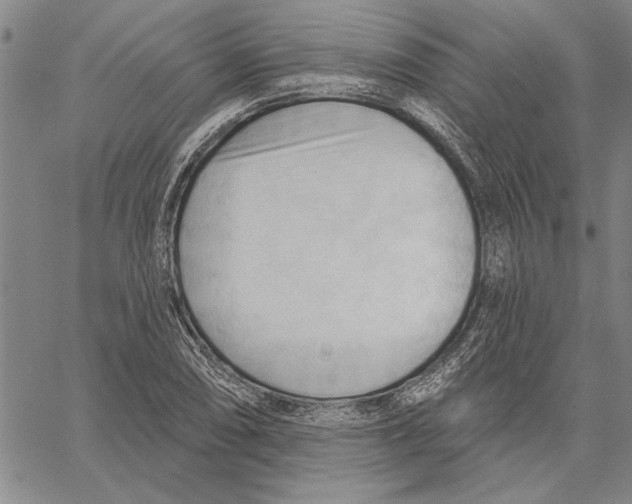 X0000060561074200512011636