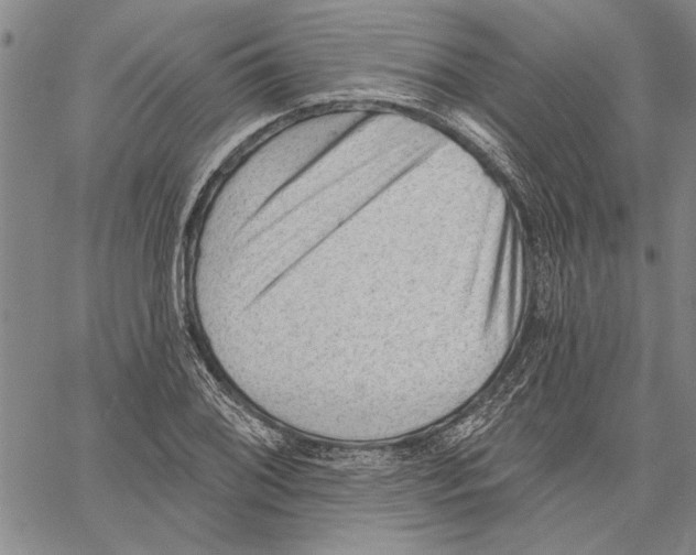 X0000060561076200512011636