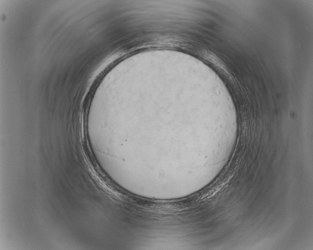 X0000060561079200512011636