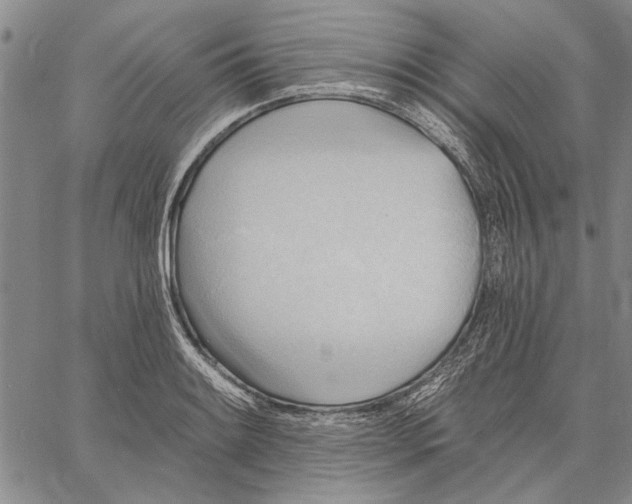 X0000060561084200512011636