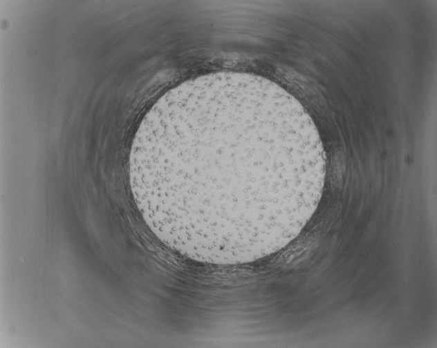 X0000060561105200512011634