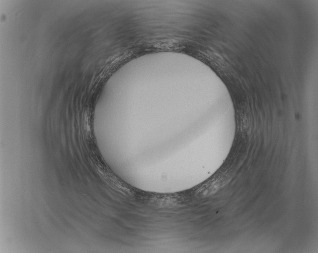 X0000060561106200512011634