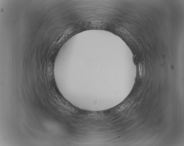 X0000060561107200512011634