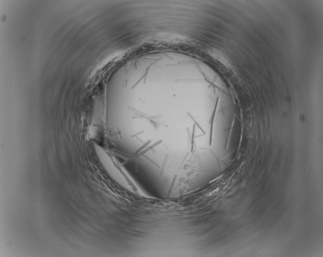 X0000060561112200512011635