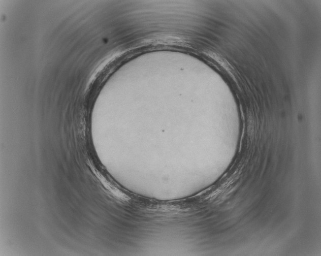 X0000060561115200512011635