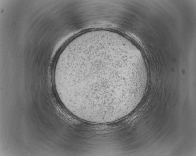 X0000060561120200512011635
