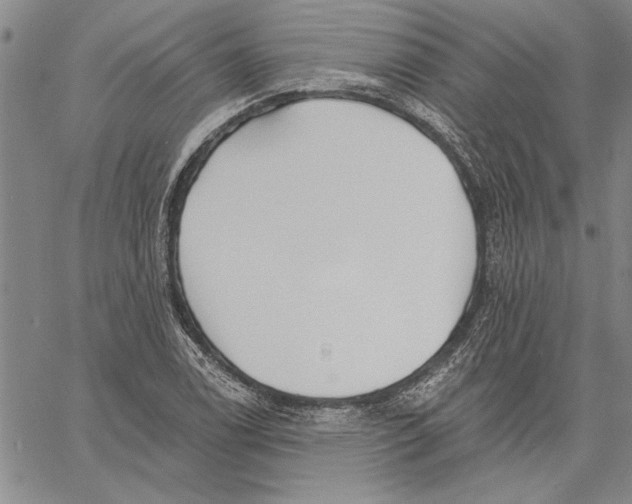 X0000060561122200512011635