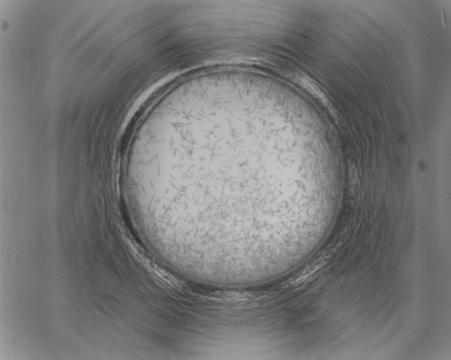 X0000060561124200512011635
