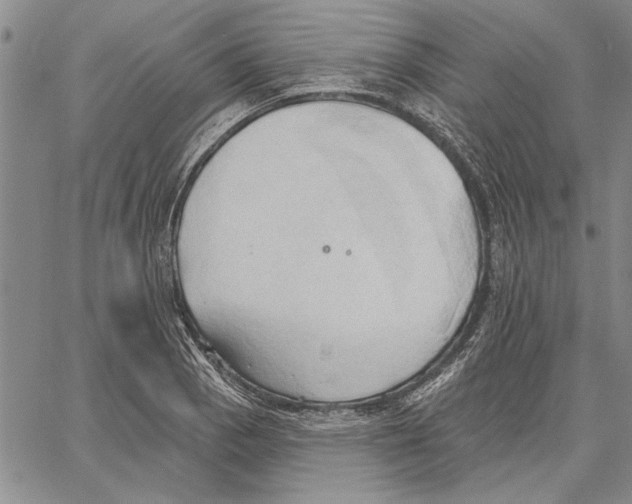X0000060561129200512011635