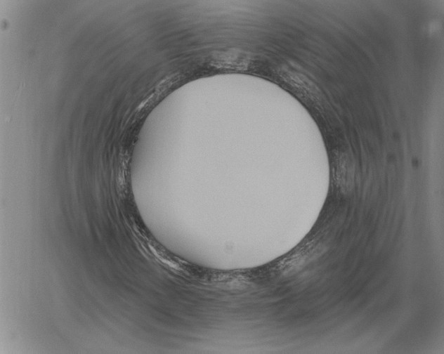 X0000060561154200512011634