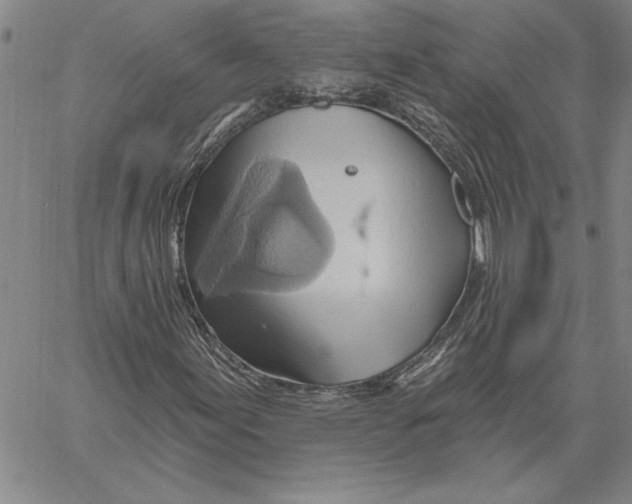 X0000060561155200512011634